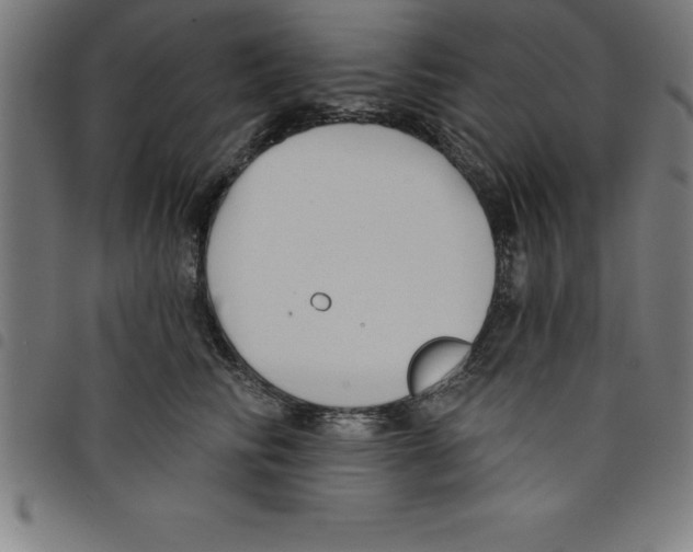 X0000098050710200804251104