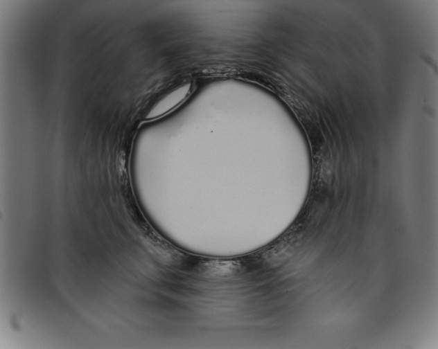 X0000098050711200804251104