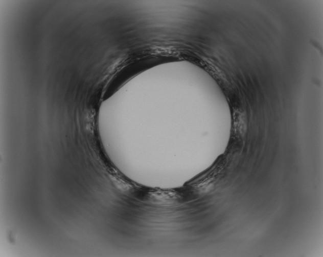 X0000098050712200804251104