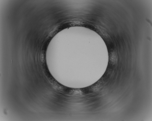 X0000098050715200804251104