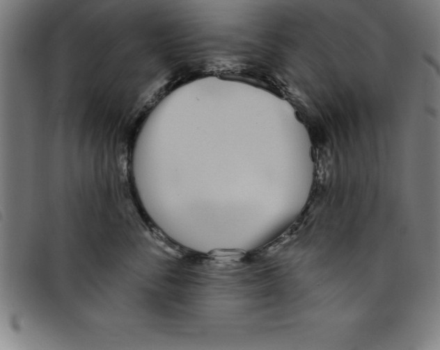 X0000098050716200804251104