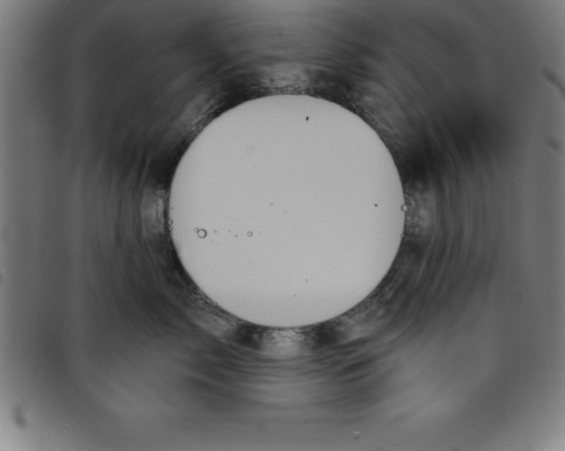 X0000098050717200804251104