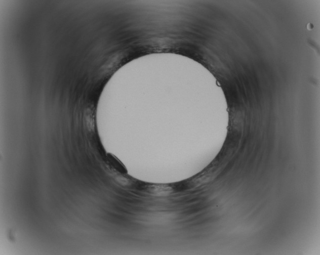 X0000098050719200804251104