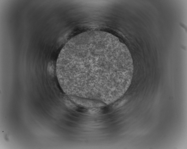 X0000098050720200804251104