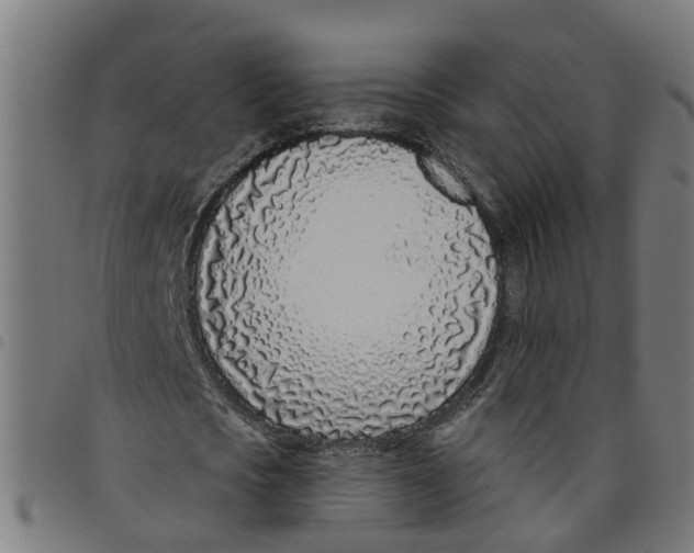 X0000098050721200804251103