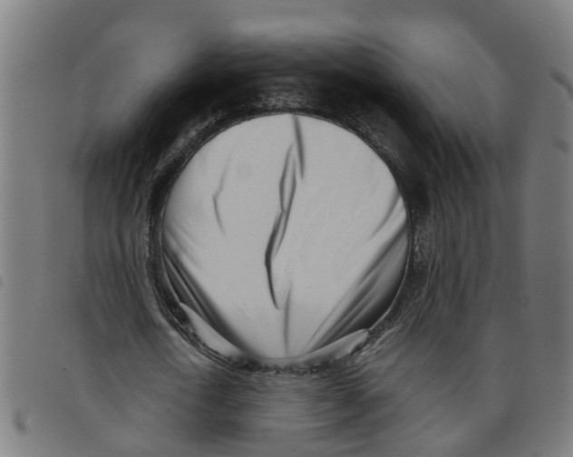 X0000098050722200804251103