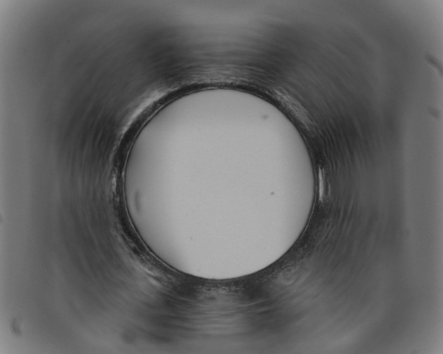 X0000098050723200804251103