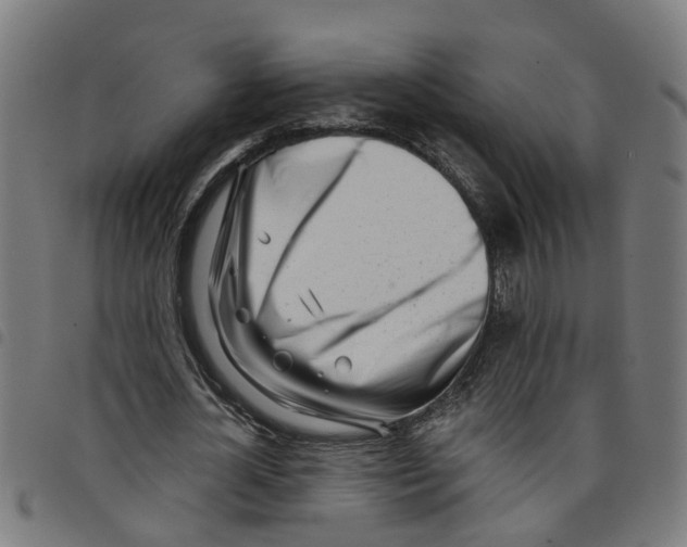 X0000098050724200804251103