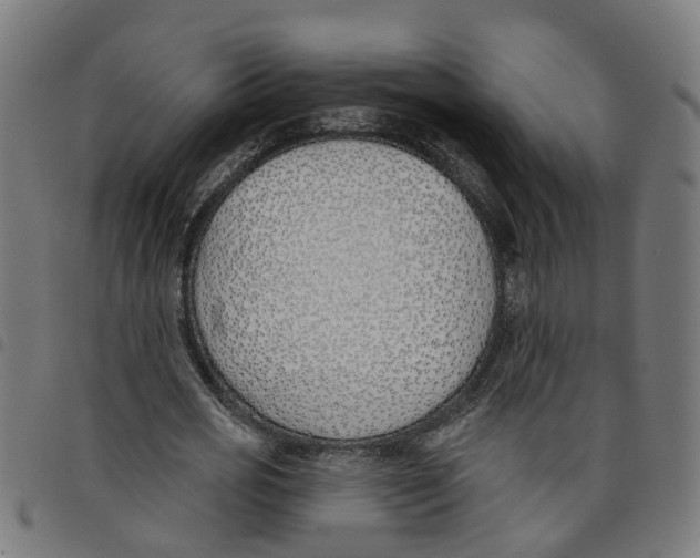 X0000098050725200804251103