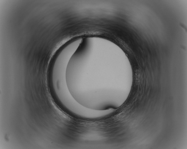 X0000098050726200804251103