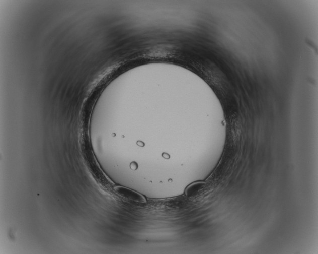 X0000098050728200804251103