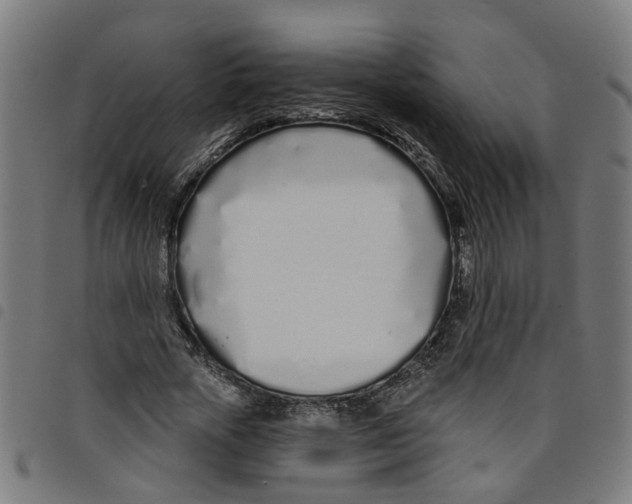 X0000098050729200804251103