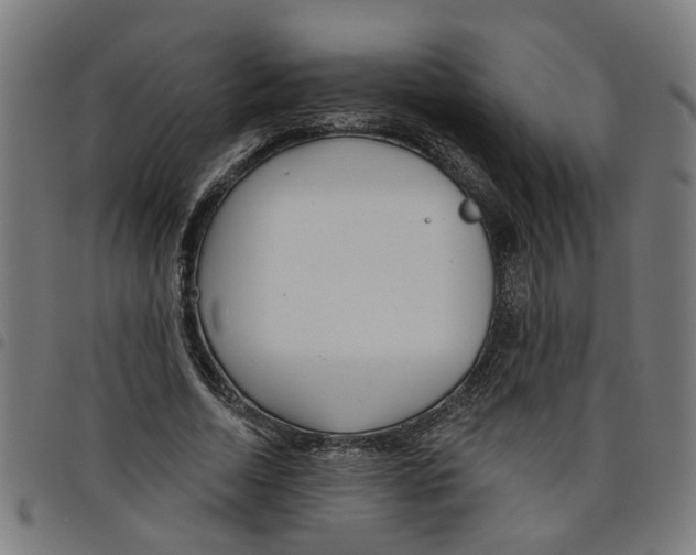 X0000098050730200804251103