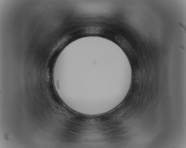 X0000098050731200804251103