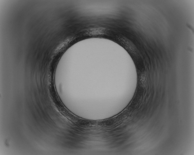 X0000098050732200804251103