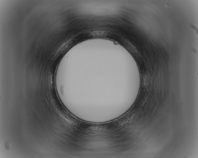 X0000098050733200804251103