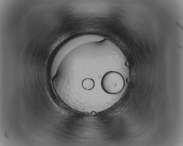 X0000098050734200804251103