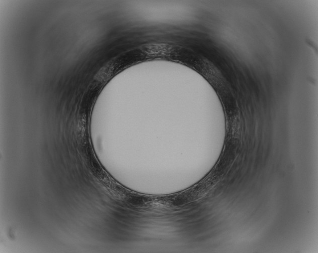 X0000098050737200804251103