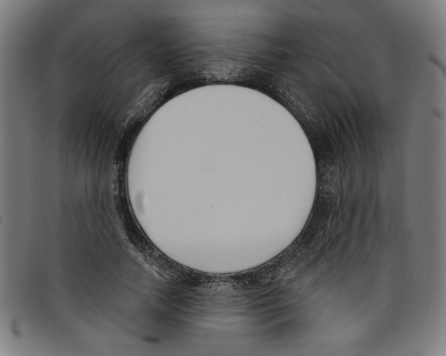 X0000098050738200804251103