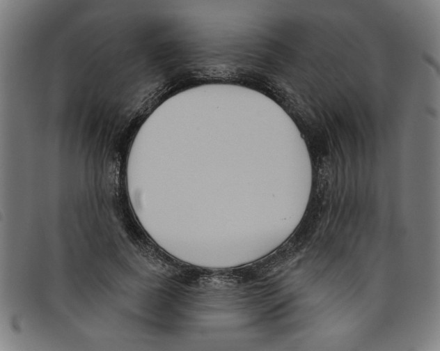 X0000098050739200804251103