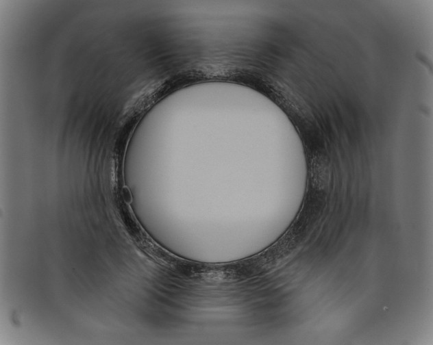 X0000098050740200804251103