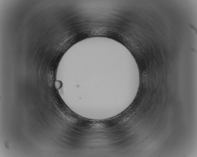 X0000098050741200804251103