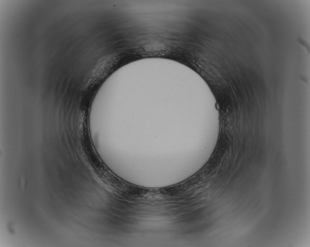 X0000098050742200804251103