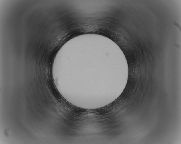 X0000098050743200804251103