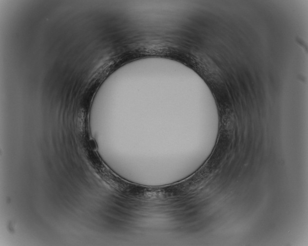 X0000098050744200804251103