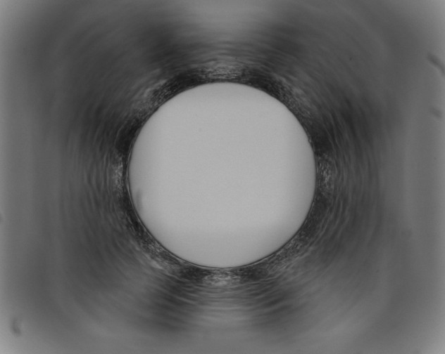 X0000098050745200804251103