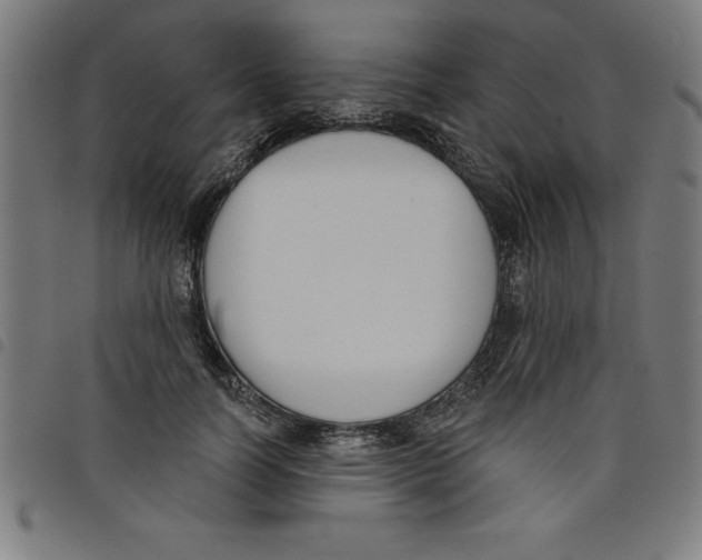 X0000098050746200804251103