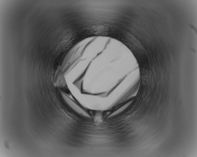 X0000098050748200804251103