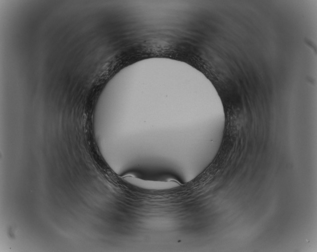 X0000098050750200804251103