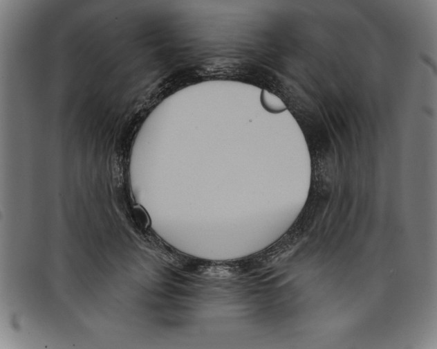 X0000098050751200804251103