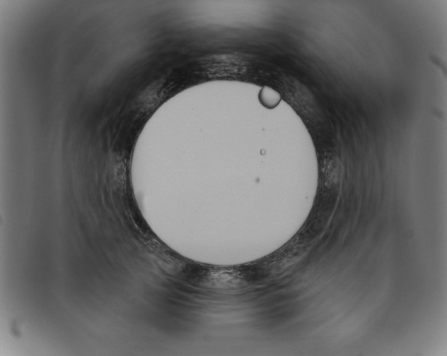 X0000098050753200804251103