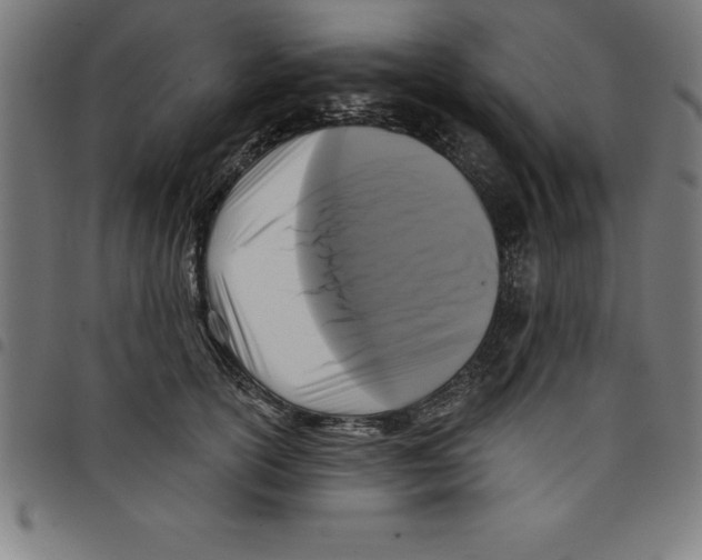 X0000098050754200804251103