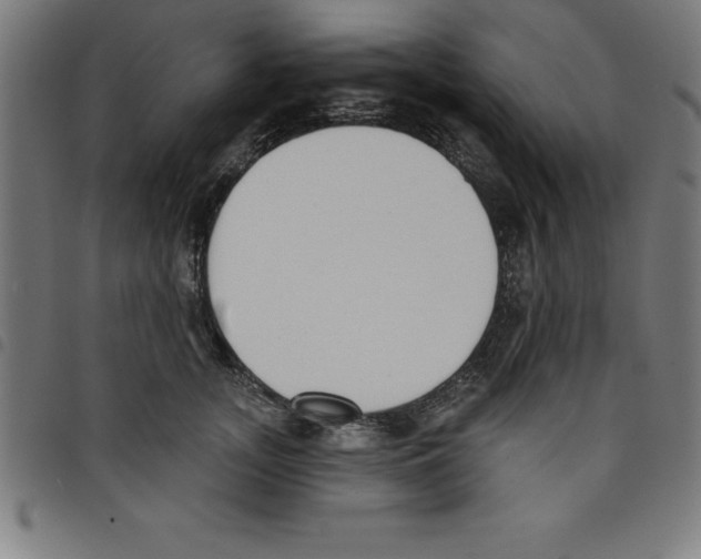 X0000098050755200804251103