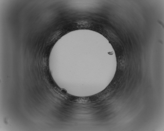 X0000098050756200804251103