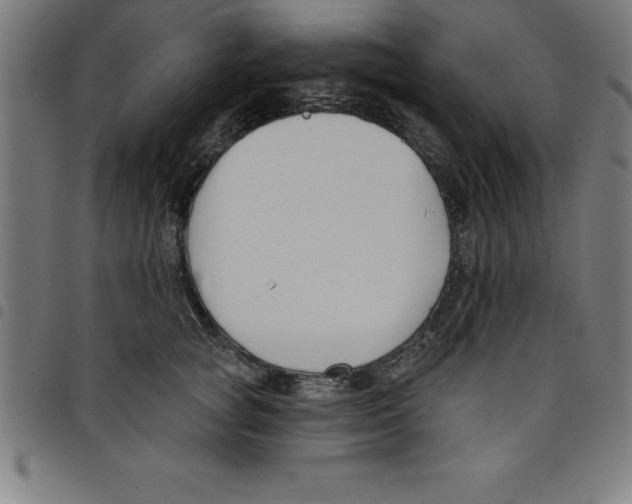 X0000098050757200804251103