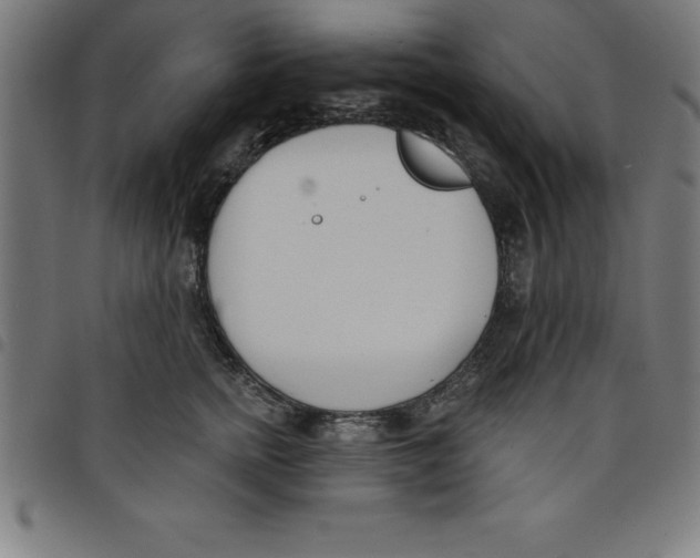 X0000098050758200804251103