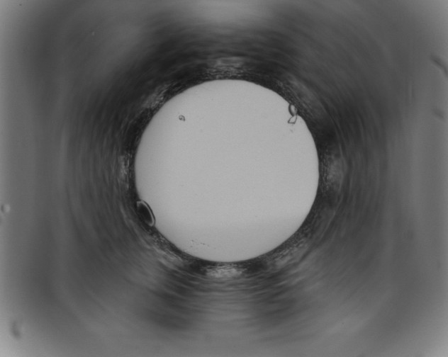 X0000098050759200804251104