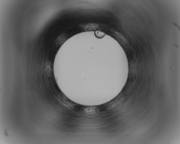 X0000098050761200804251104