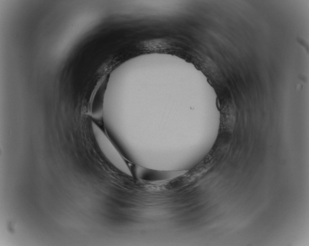 X0000098050762200804251104