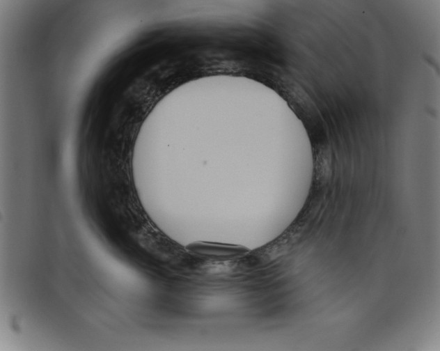 X0000098050764200804251104