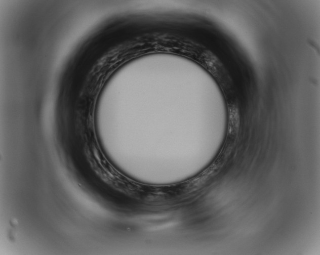 X0000098050765200804251104