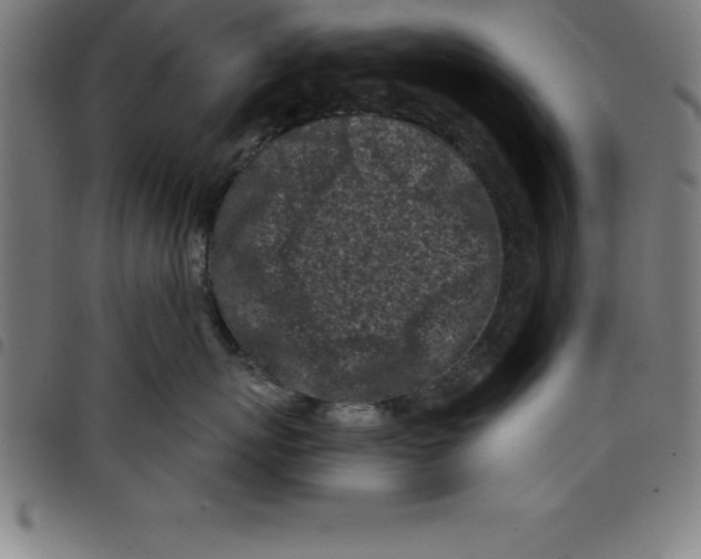 X0000098050767200804251104