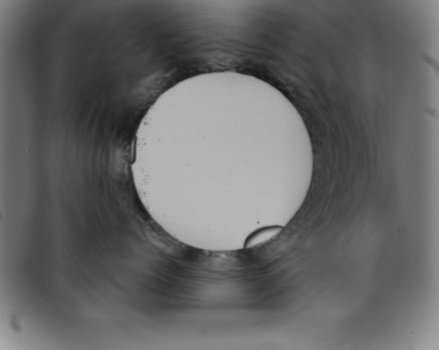 X0000098050768200804251104