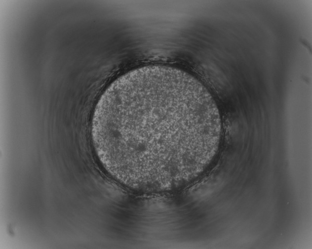 X0000098050769200804251103