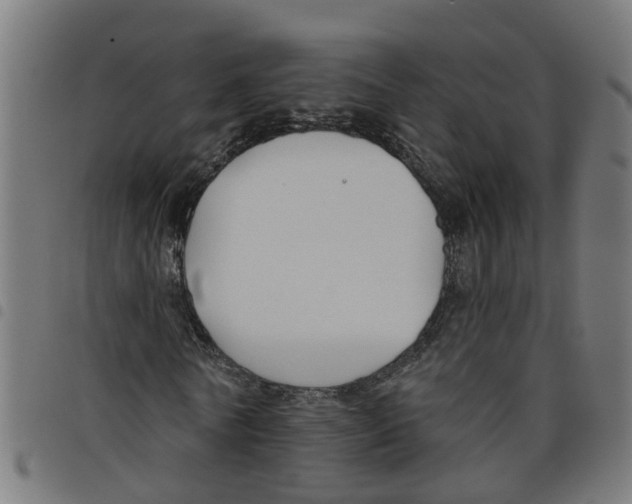 X0000098050770200804251103