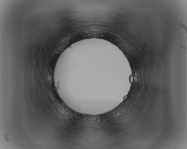 X0000098050771200804251103